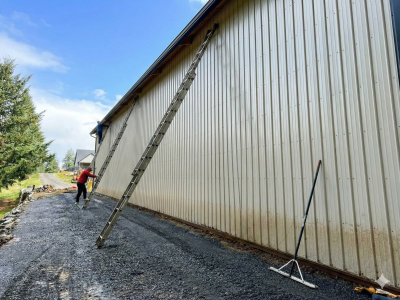 Gemini_Generated_Image_z5q73dz5q73dz5q7